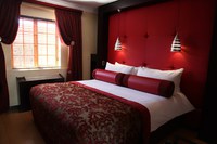 Cycad Guest House