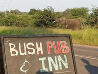 Bush Pub & Inn