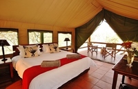 Sausage Tree Safari Camp