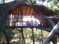 Pezulu Tree House Game Lodge