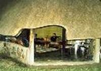 Kwa Thabeng Bush Lodge