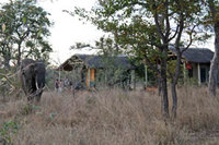 Shindzela Tented Safari Camp