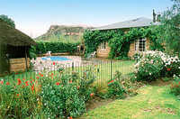 Camelroc Guest Farm