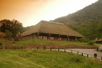 Bush Willow Tented Camp