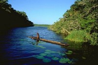 Kosi Bay Nature Reserve