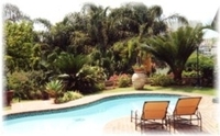 Palm Lodge