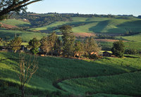 Kearsney Manor