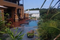 African Dream