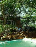 Gecko Backpackers