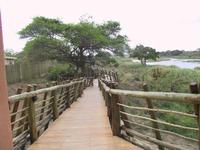 Lower Sabie Camp