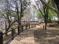 Olifants Camp
