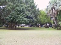 Letaba Camp