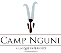 Camp Nguni