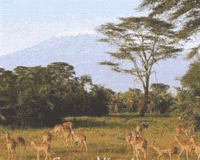 Kinsa Lodge