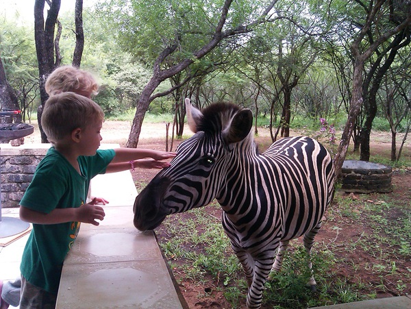 Le Roux Lodge in Kruger National Park - ProPortal