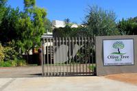 Olive Tree B&B