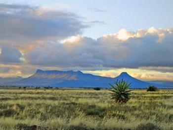 Springbuck Lodge in Graaff Reinet