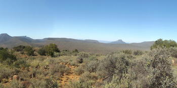 Veldscape in Graaff Reinet