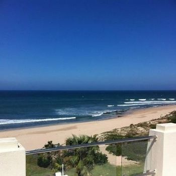 Seashells in Jeffreys Bay