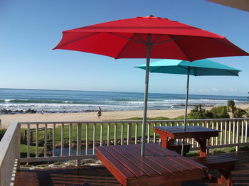 Seashells in Jeffreys Bay