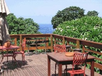 Ambience Africa B&B in East London