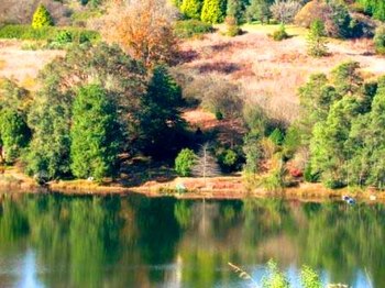 Stanford Lake Lodge in Haenertsburg
