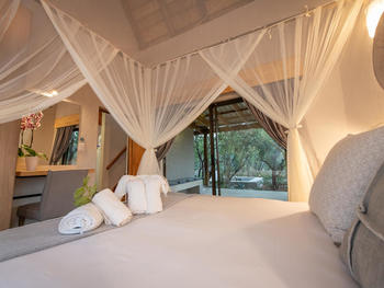 Ntoma Lodges in Hoedspruit