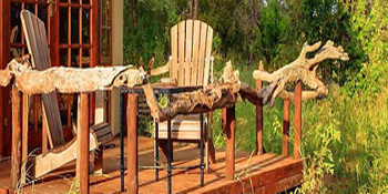 Motswari Private Game Reserve in Hoedspruit