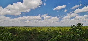 Silonque Bush Estate & Spa in Phalaborwa