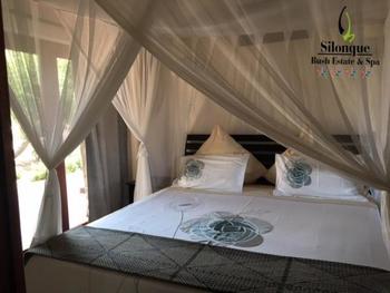 Silonque Bush Estate & Spa in Phalaborwa