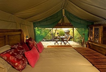 Bushman's Hide in Vaalwater