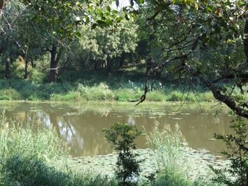 Kondowe Game Reserve in Gravelotte