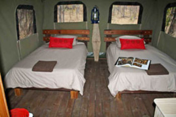 Shindzela Tented Safari Camp in Timbavati