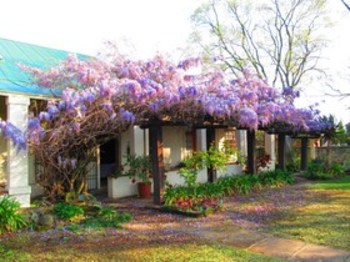 Top House in Ladybrand