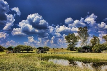 Savannah Game & River Retreat in Parys