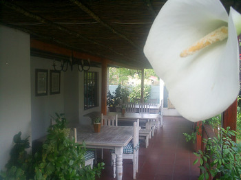 Lily Guesthouse in Bloemfontein