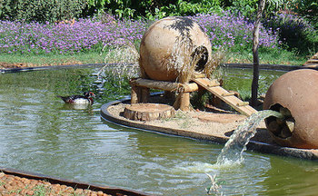 Petal Place in Bloemfontein