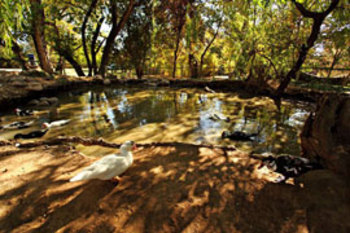 River of Joy in Bloemfontein