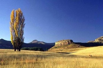 Quillets in Clarens