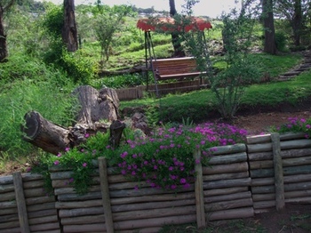 Hilltops in Clarens