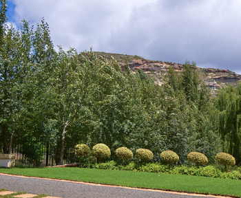 Riverwalk B&B in Clarens