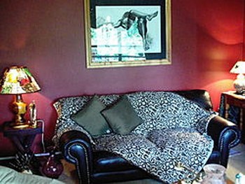 Woodpecker Guest House in Parys
