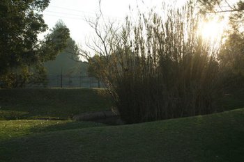 Ancient Windmill Guest House & Conference Centre in Benoni