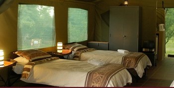 Bushwillow Tented Camp in Muldersdrift
