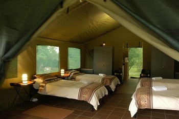 Bush Willow Tented Camp in Muldersdrift