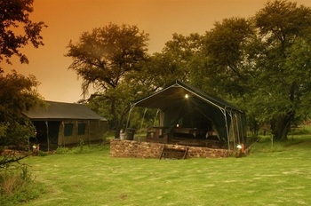 Bush Willow Tented Camp in Muldersdrift