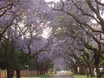 Goodeys Guest House in Pretoria