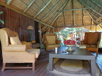 TreeTops & Treats Guest House in Pretoria