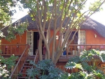 TreeTops & Treats Guest House in Pretoria