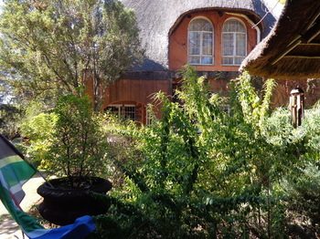 TreeTops & Treats Guest House in Pretoria